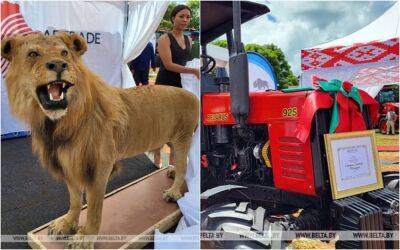 Лукашенко подарил президенту Зимбабве трактор. А тот в ответ — чучело льва - zr.ru - Белоруссия