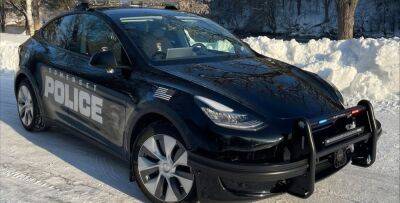 Американские полицейские отдают предпочтение Tesla Model Y: в чем причины - autocentre.ua - Сша - штат Висконсин